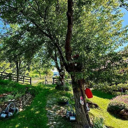 Etno Kuca Parce Neba *